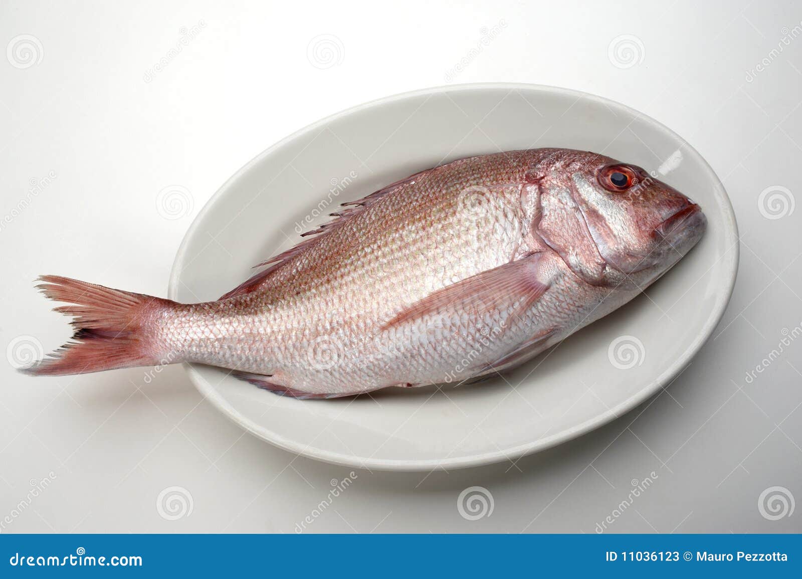 Resultat d'imatges de fish in a dish