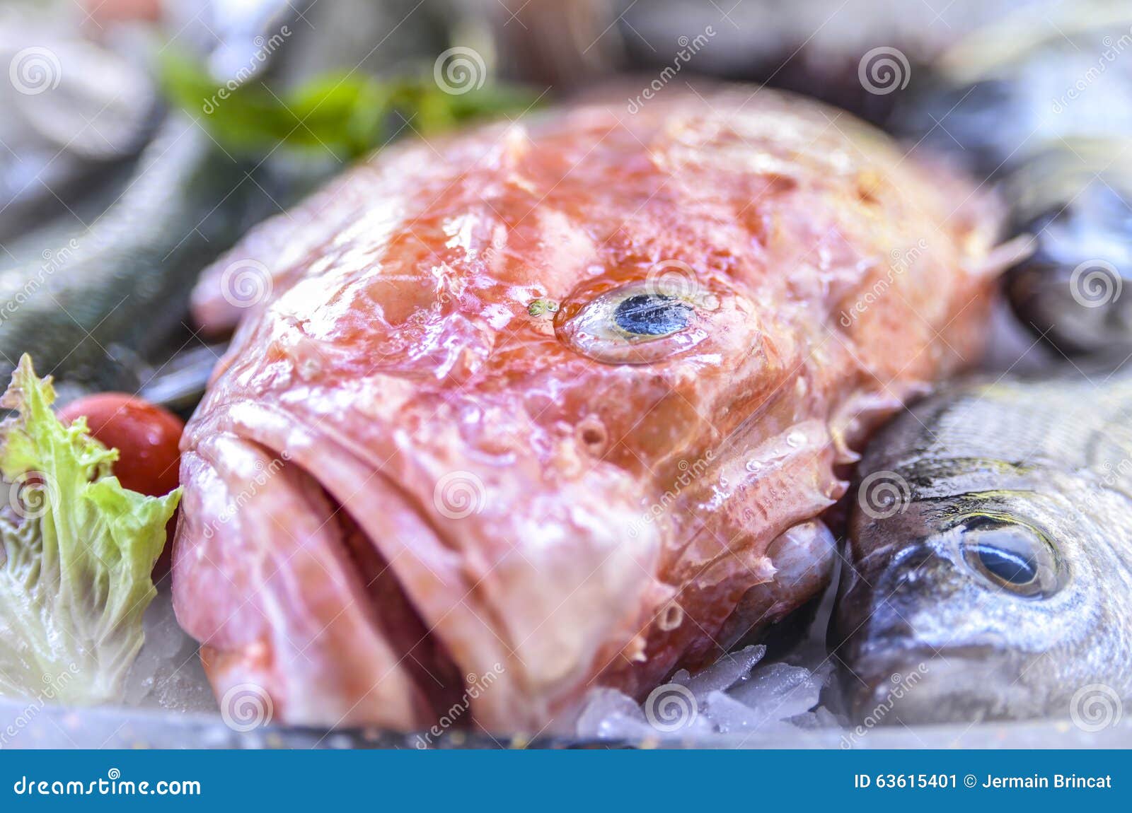 Fish stock image. Image of food, scoglitti, freshfish 63615401