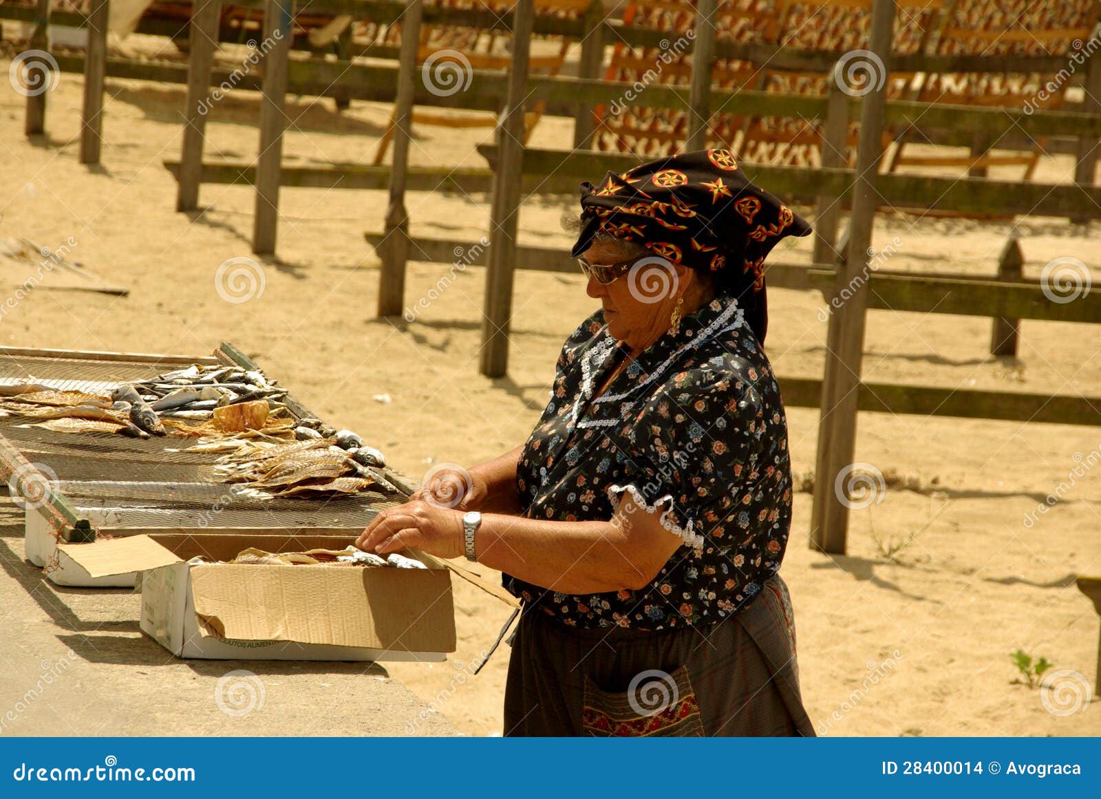 Fish drying racks editorial stock image. Image of ancient 28400014