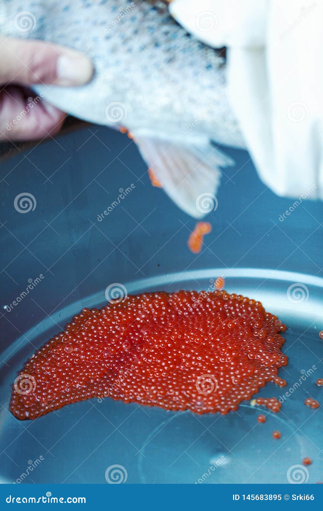 Fish eggs close up stock image. Image of caviare, delicacy - 145683895