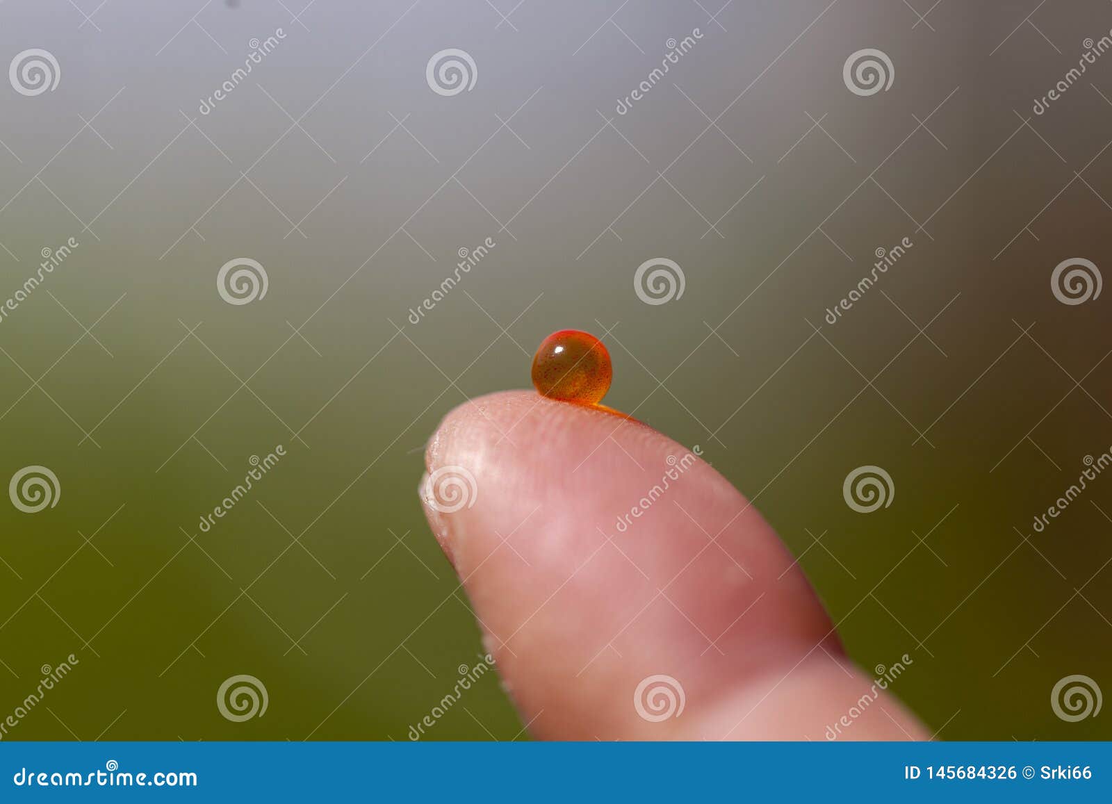 Fish eggs close up stock photo. Image of salty, delicious 145684326