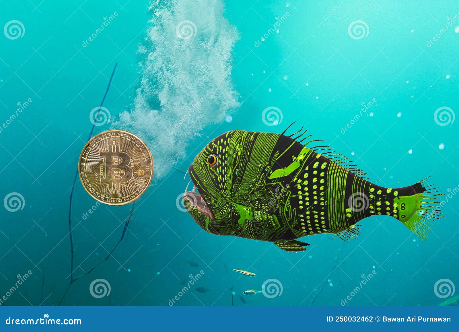 Fish with Electronic Circuit Patterned Body Prepares To Eat or Save Bitcoin  that is Falling To the Bottom of the Pool Stock Photo - Image of business,  concept: 250032462