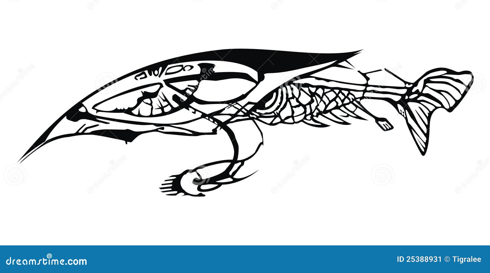Download Fish-eye stock vector. Illustration of isolated, single - 25388931