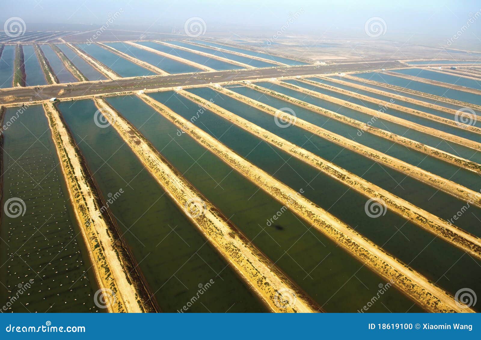 Fish Farm Stock Photo Image Of Farm Square Commercial 18619100 fish-farm-stock-photo-image-of-farm-square-commercial-18619100