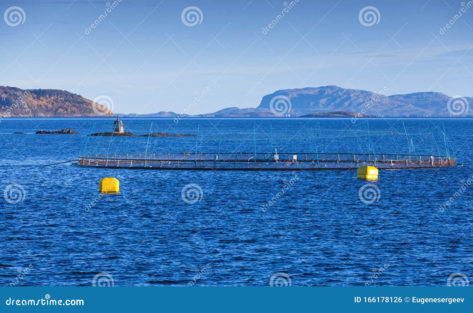 https://thumbs.dreamstime.com/z/fish-farm-cage-production-salmon-norwegian-sea-natural-environment-trondheim-fjord-166178126.jpg