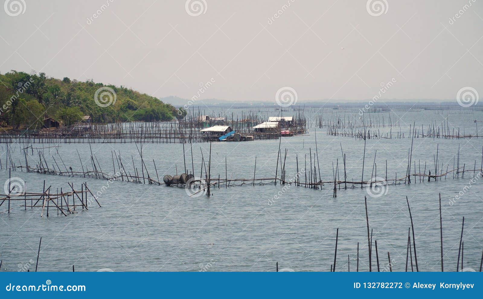 Fish farm in the sea. stock photo. Image of catch, farming - 132782272