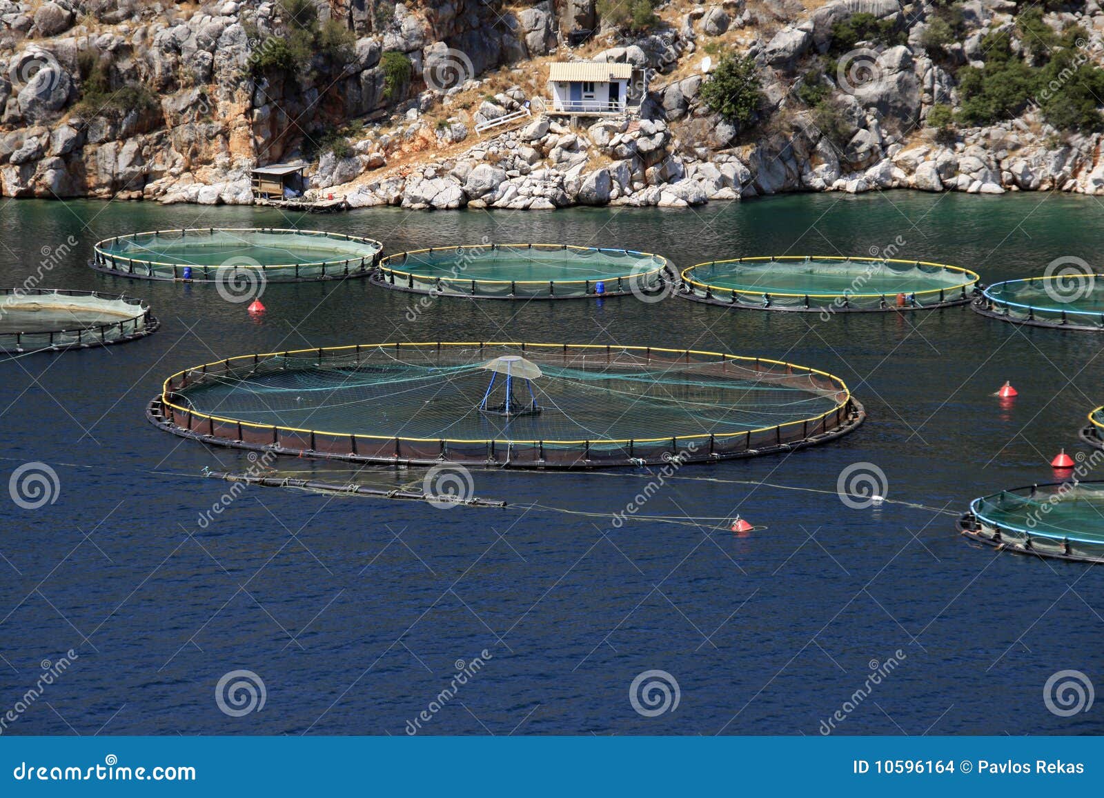Fish farm, Greece stock photo. Image of fisheries, farm 10596164
