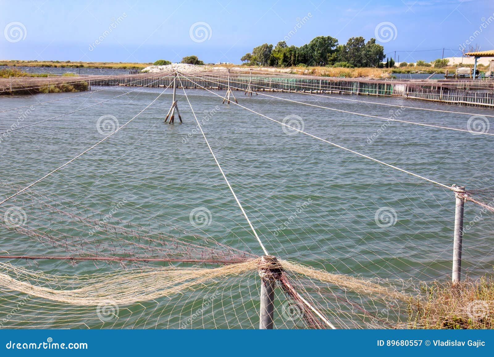 Fish farm in Greece stock image. Image of farm, circle 89680557