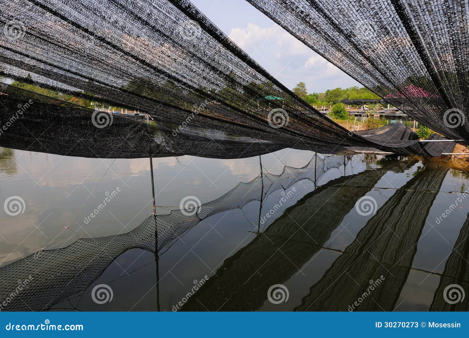 Fish net stock image. Image of pond, cover, coverage 30270273