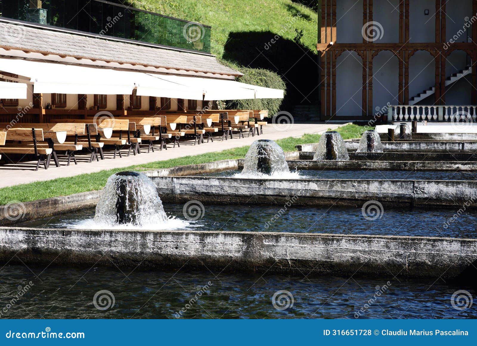 fish farming in concrete ponds in romania