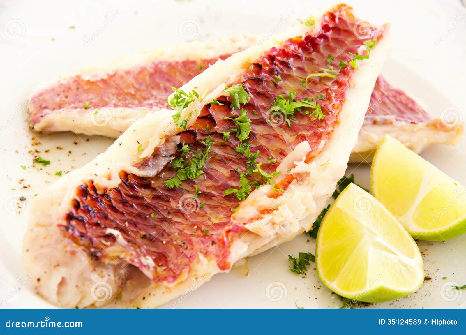 Fish Fillet with Fresh Herbs Stock Image Image of lime, delicacy