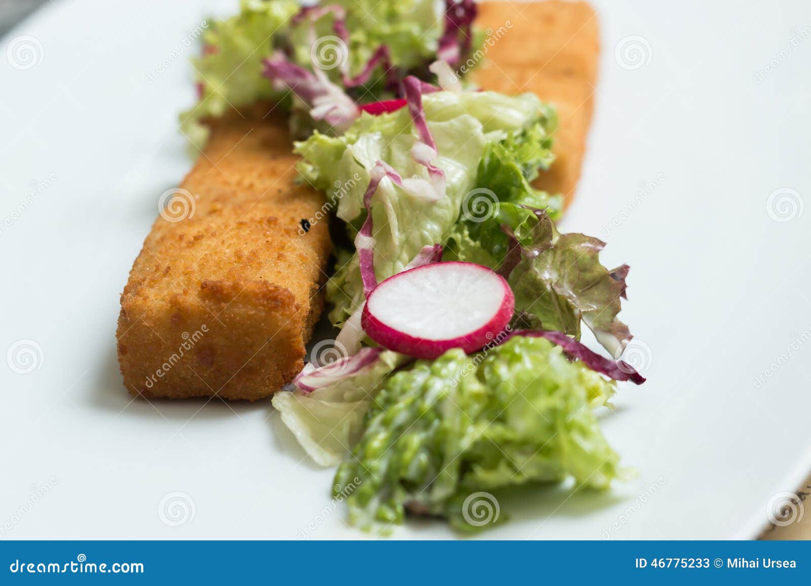 Fish Fingers with Green Lettuce Stock Image Image of herb, healthy
