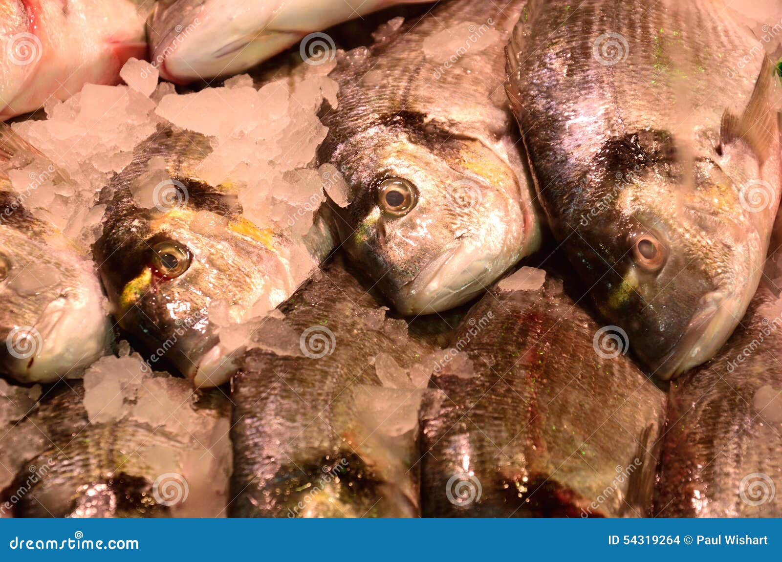 Fish on Fishmongers slab stock photo. Image of ingredient - 54319264