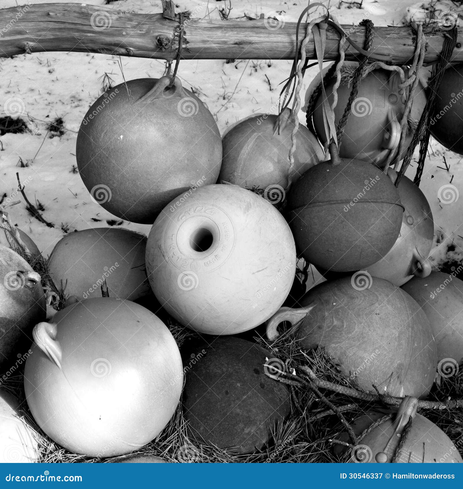 Fish floats stock image. Image of branch, rope, japanese 30546337