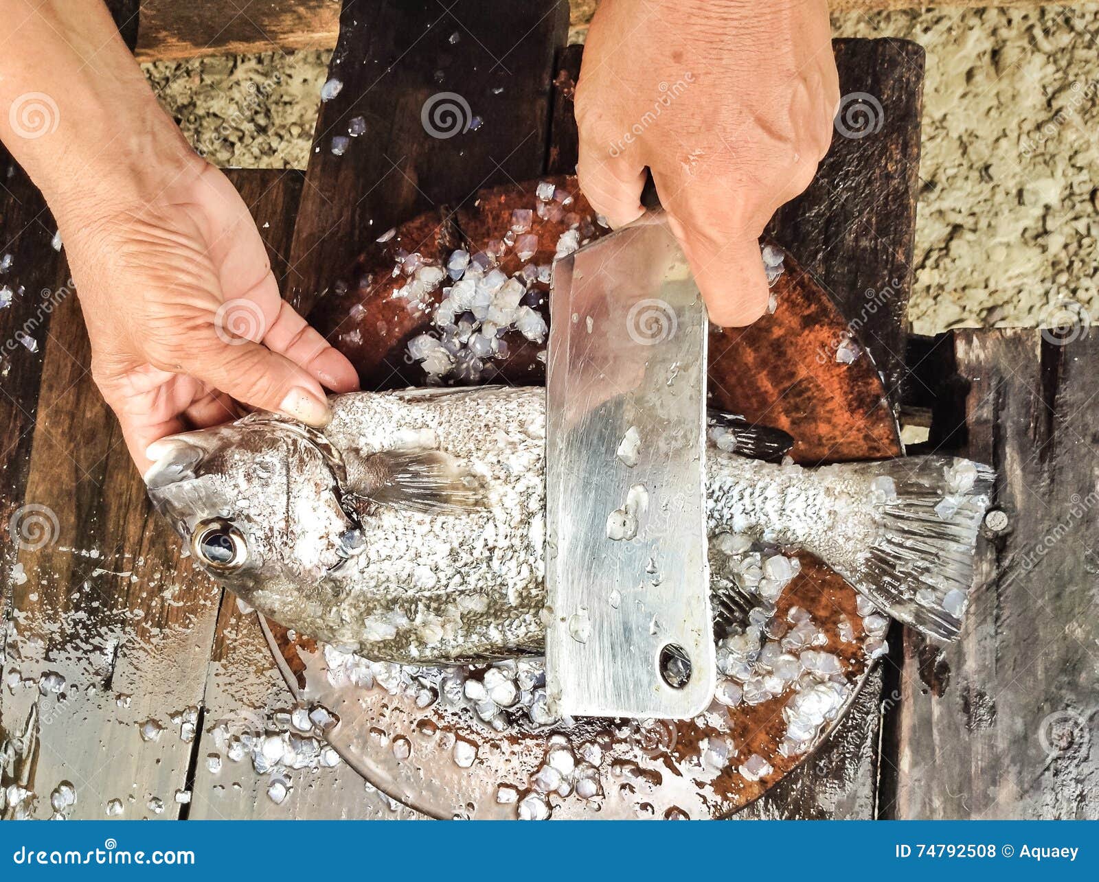 Fish food stock photo. Image of seafood, dinner, filled 74792508