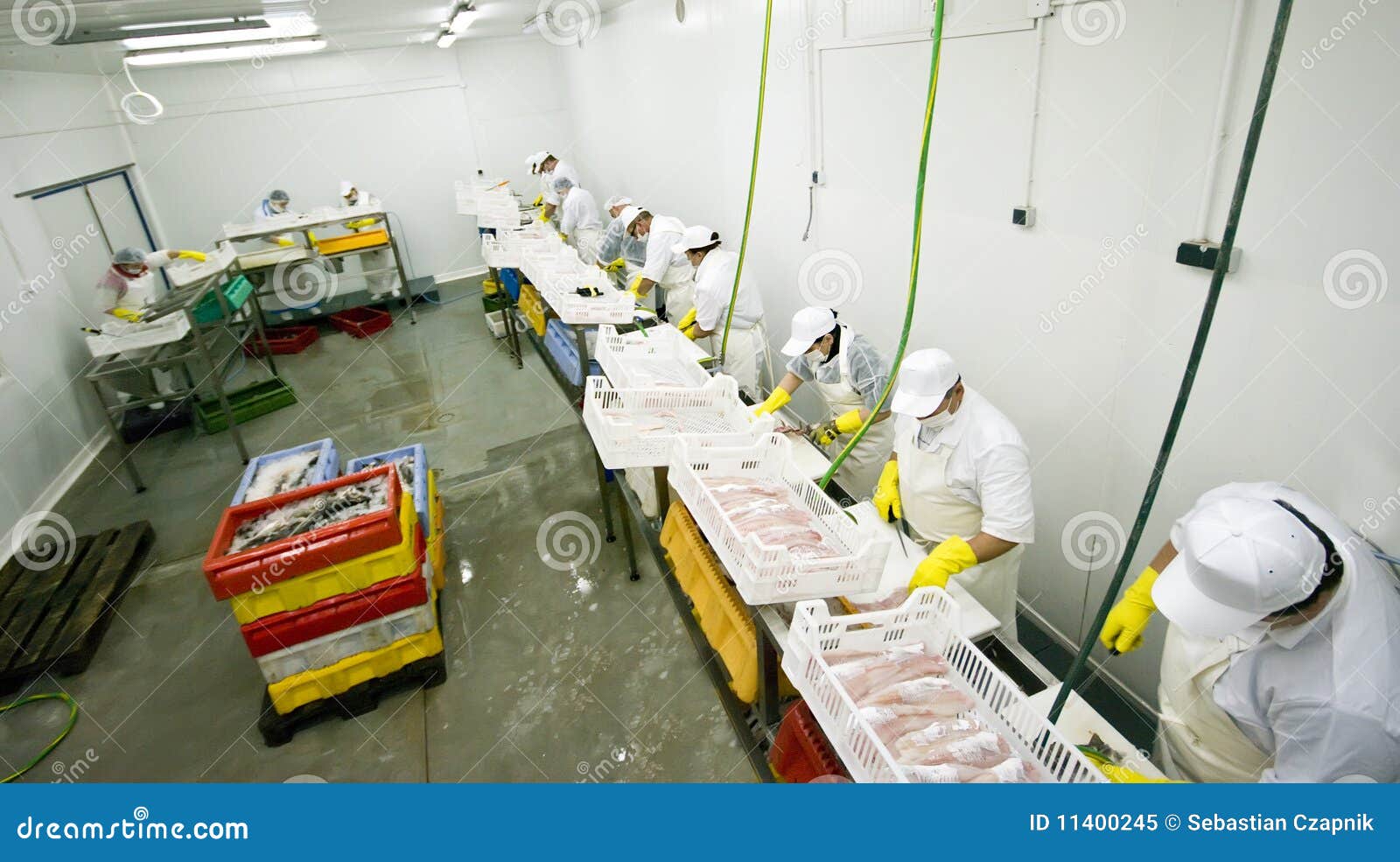 Fish food factory stock image. Image of cutters, manufacturing 11400245