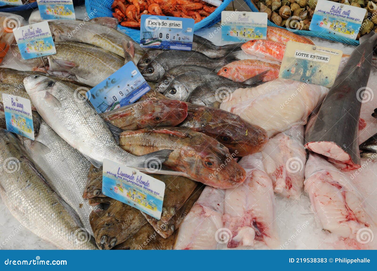 A stall of fishes editorial stock photo. Image of fish 219538383