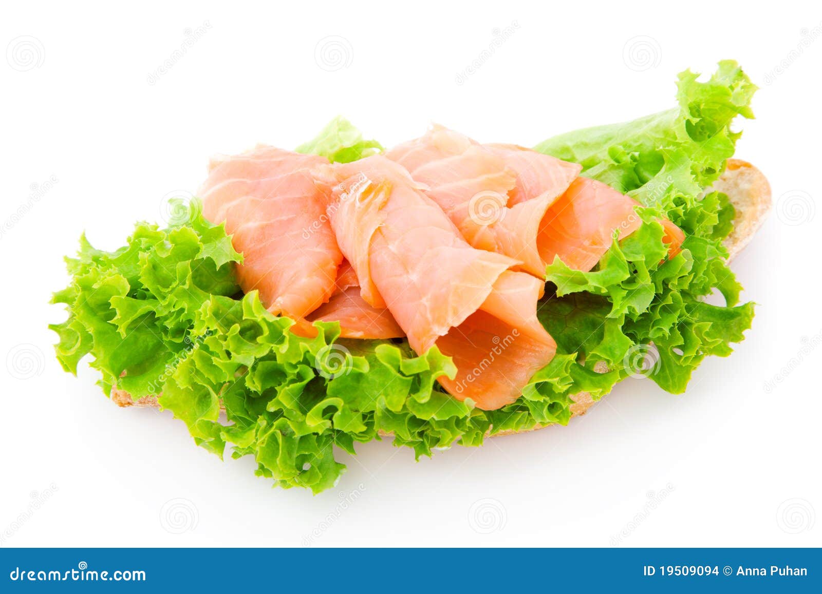 Fish and fresh lettuce stock photo. Image of salad, isolated 19509094