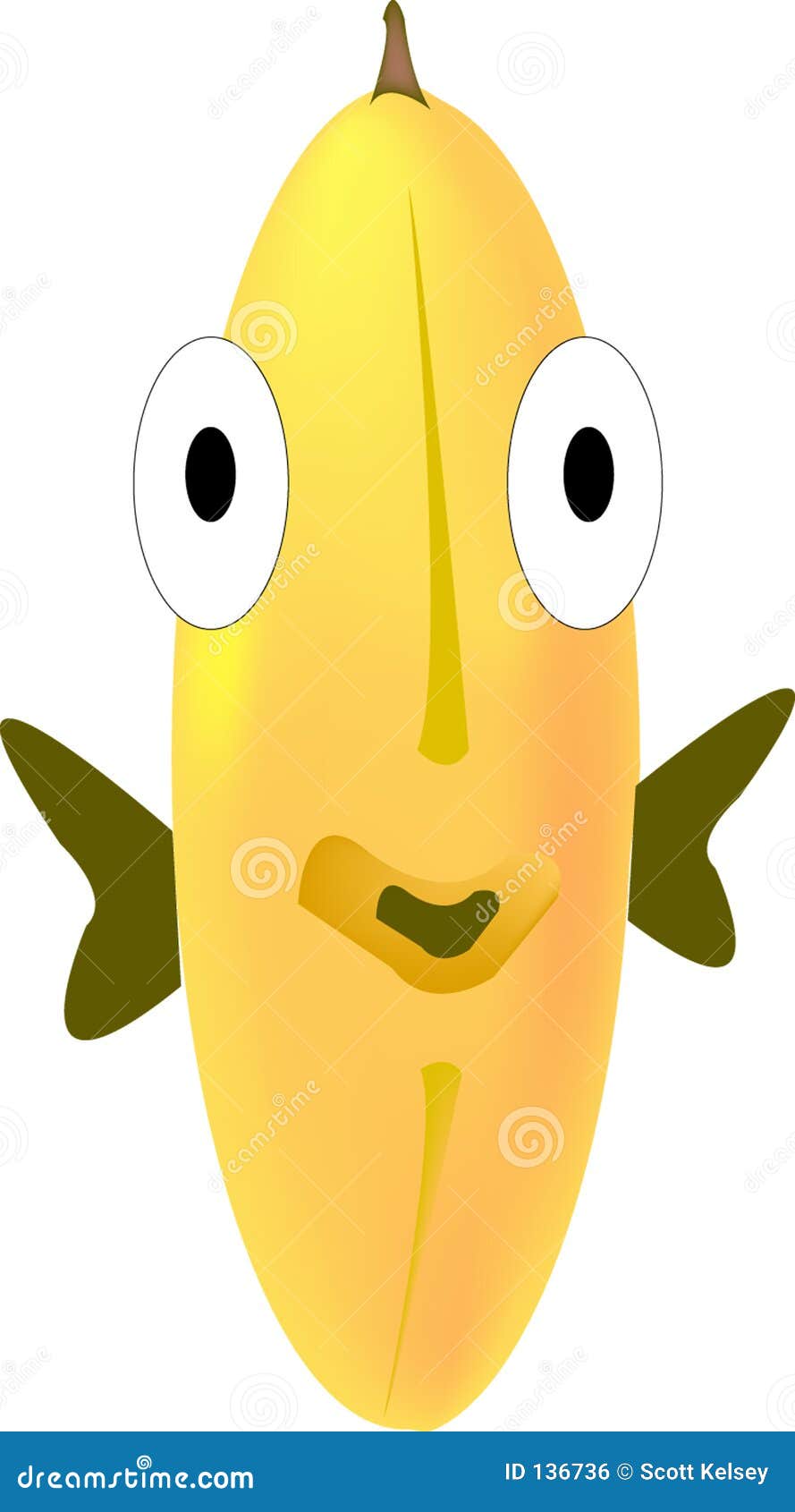Fish Front stock illustration. Illustration of drawing
