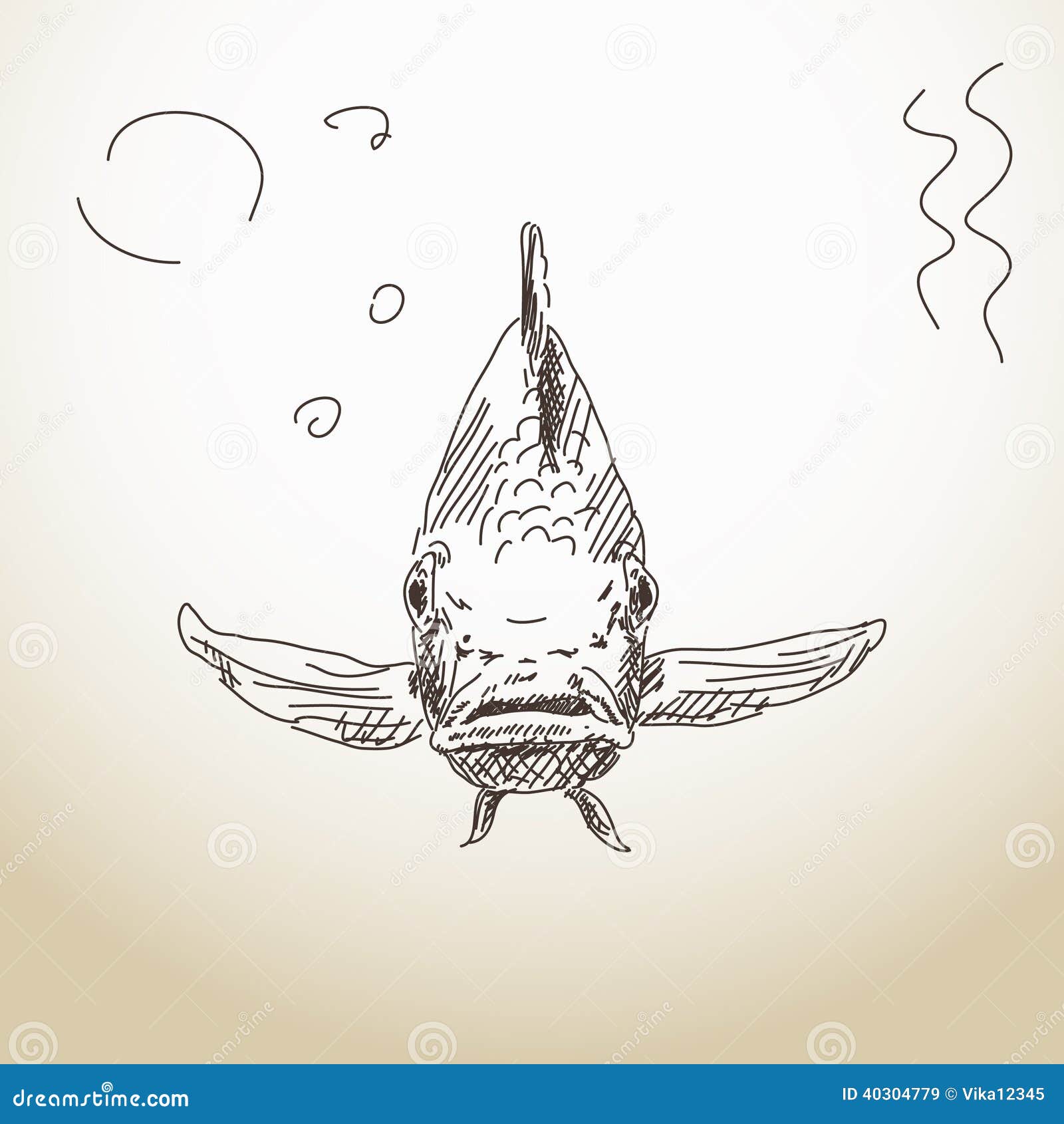 Fish front view stock vector. Illustration of sketch - 40304779