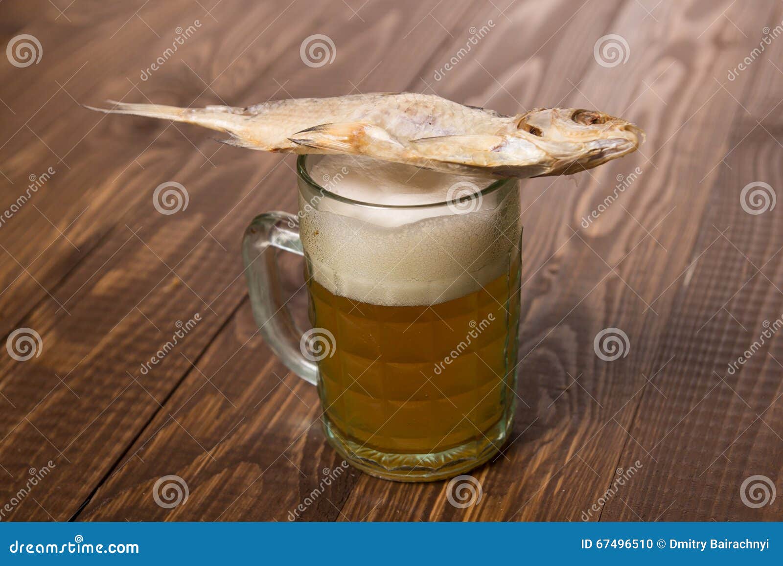 Fish on frothy beer stock photo. Image of refreshment 67496510