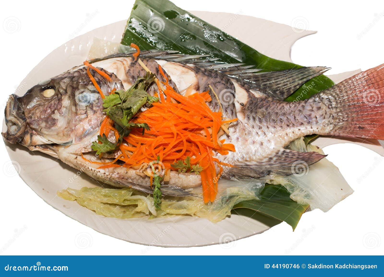 Fish Garnish with Vegetables Stock Photo Image of cook, fish 44190746