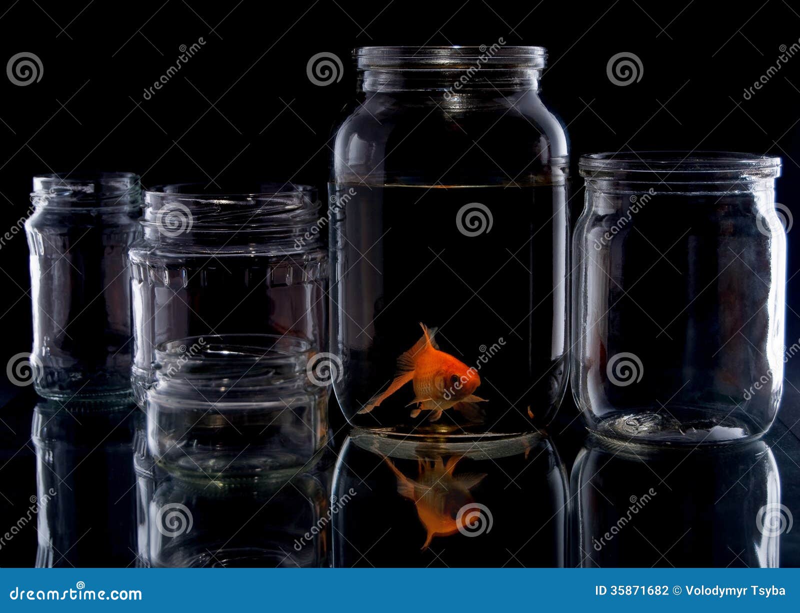 Fish in glass jar stock photo. Image of liquid, people 35871682