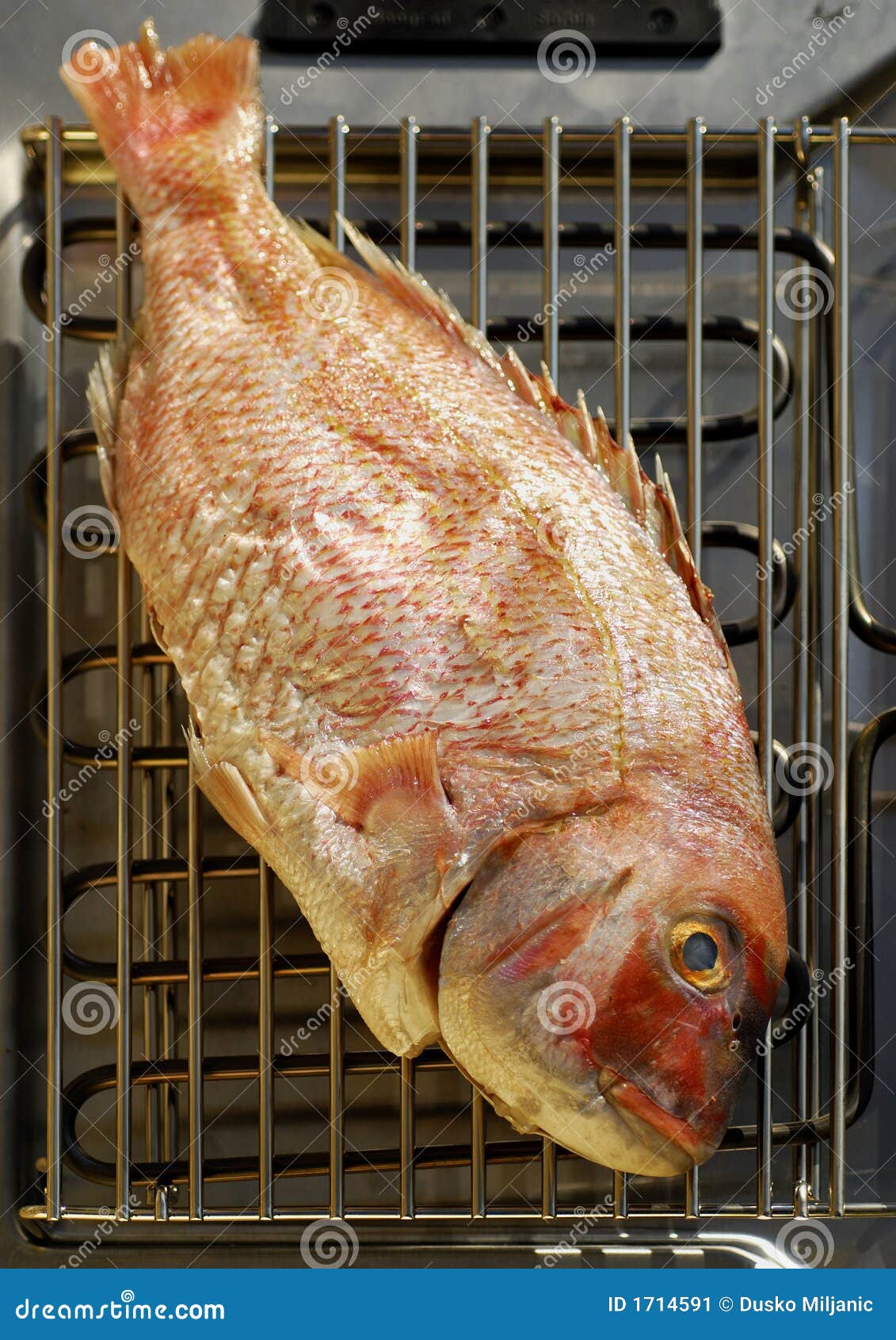 fish grill 2