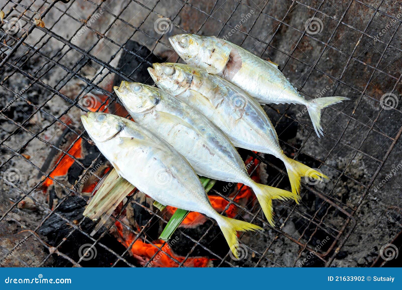 Fish grill stock photo. Image of burn, grass, barbeque 21633902