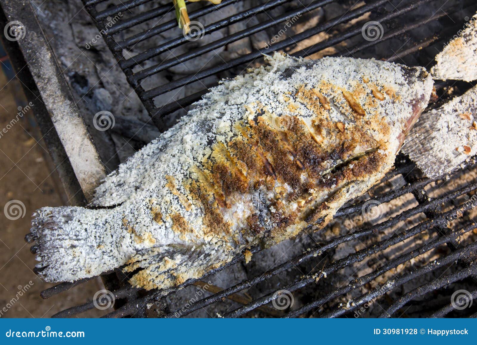 Fish grill on the stove stock photo. Image of burn, meat 30981928