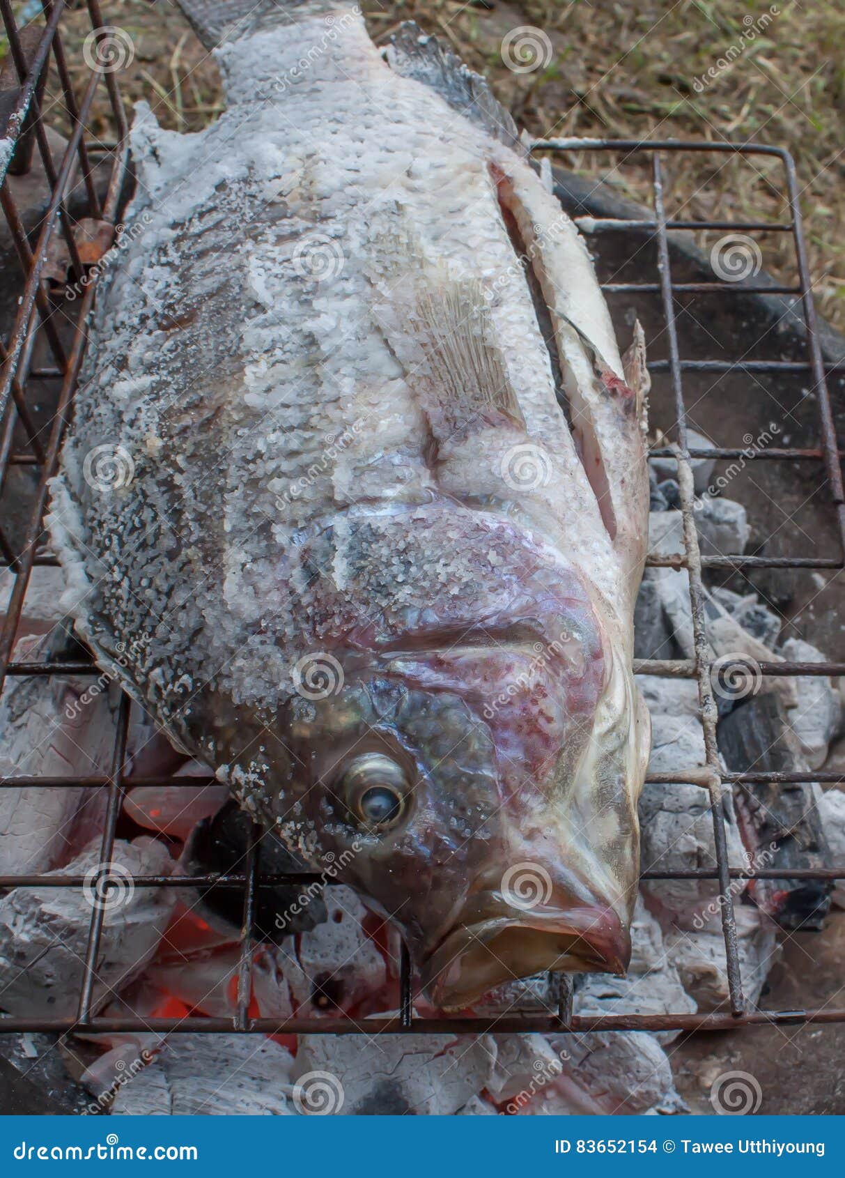 Fish grill on stove stock photo. Image of closeup, fresh 83652154