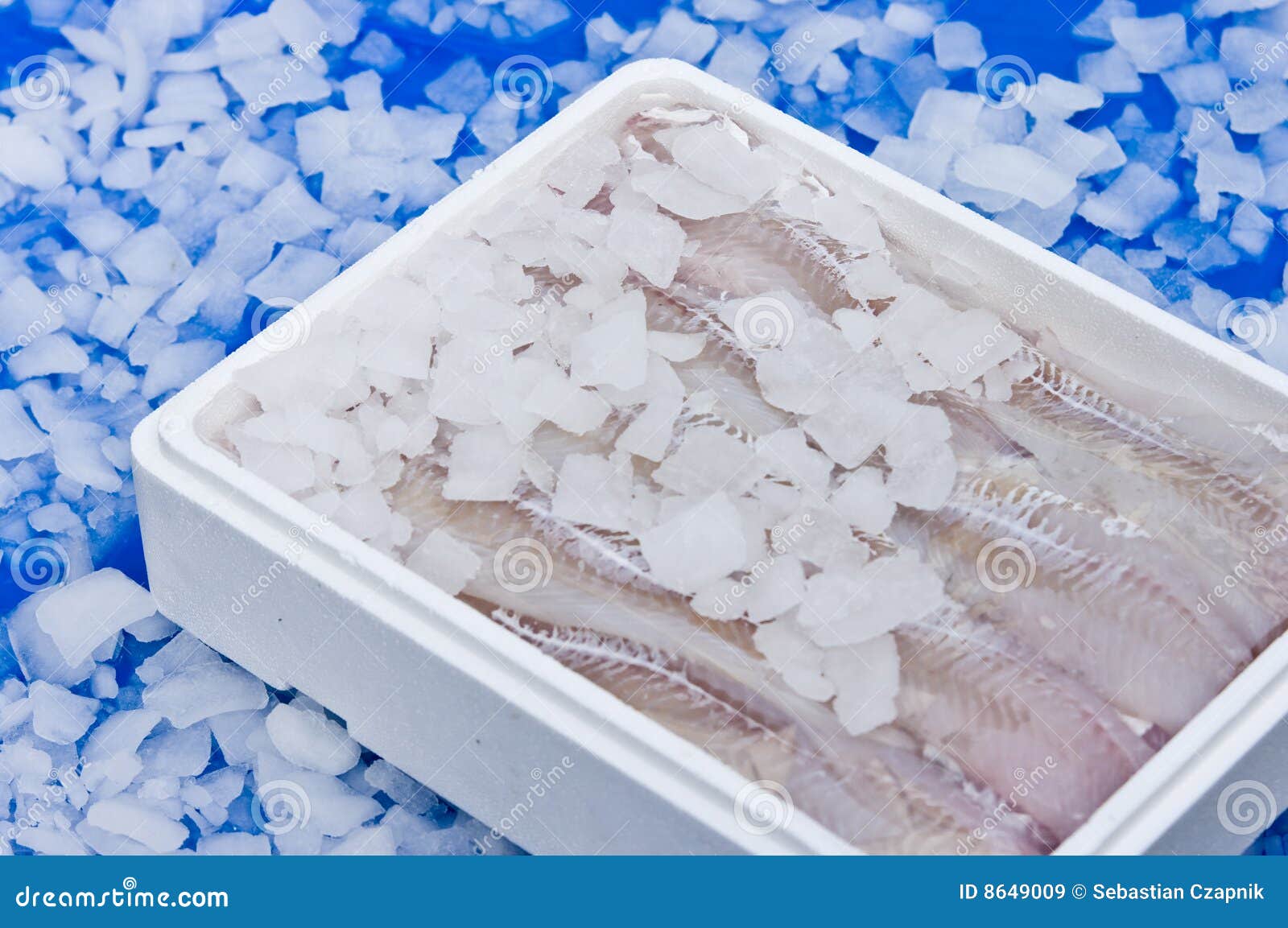 Fish in ice box stock image. Image of iced, fish, cods - 8649009