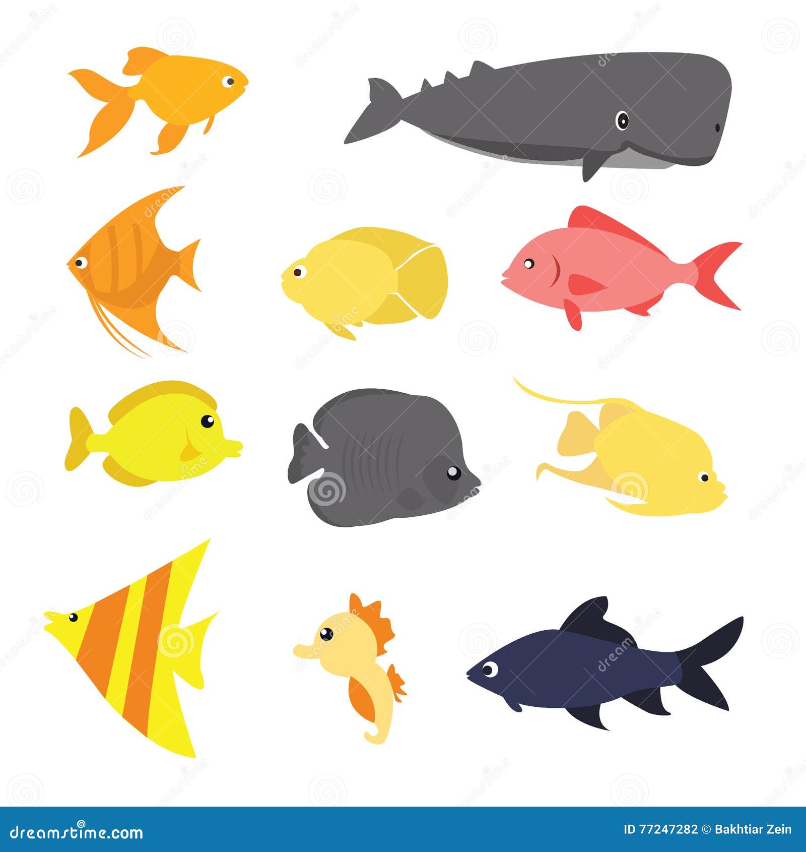 fish icon set  exotic sea creature color-ful fun drawing