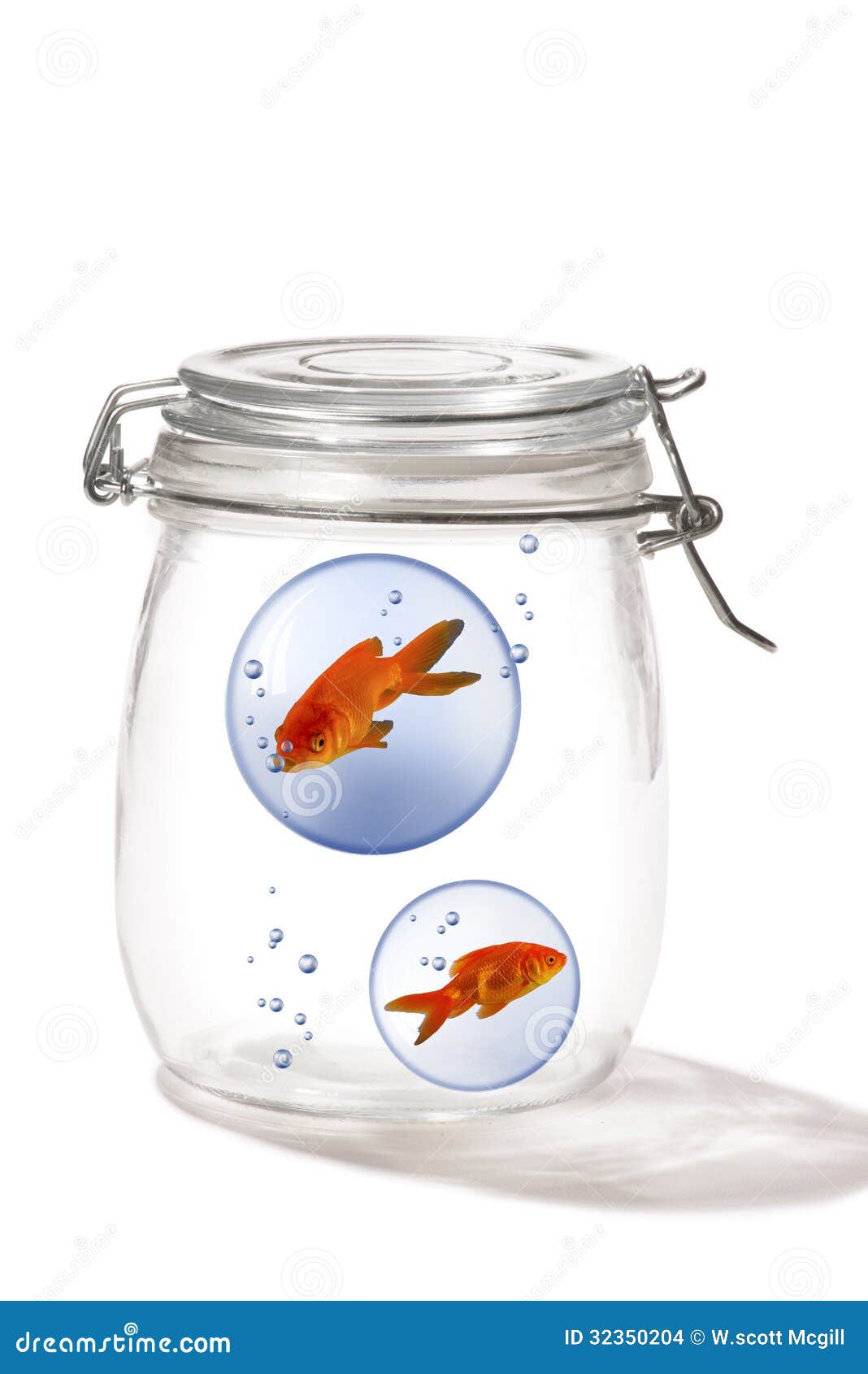 Fish in a jar. stock photo. Image of swim, golden, concept 32350204