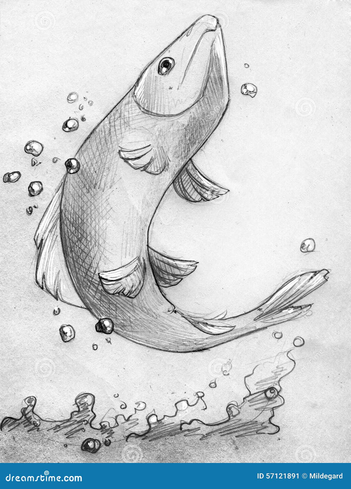 List 91+ Images how to draw a fish jumping out of water Completed