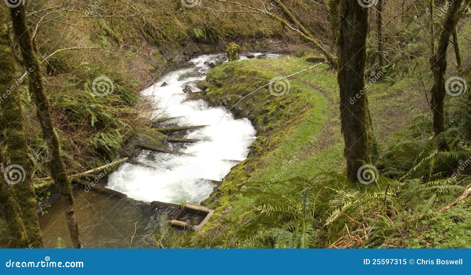 Primative Salmon Fish Ladder Oregon Outback Stock Image Image of