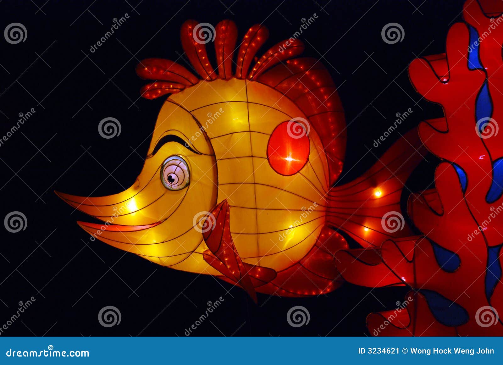 lantern fish philadelpia lantern fish philadelpia