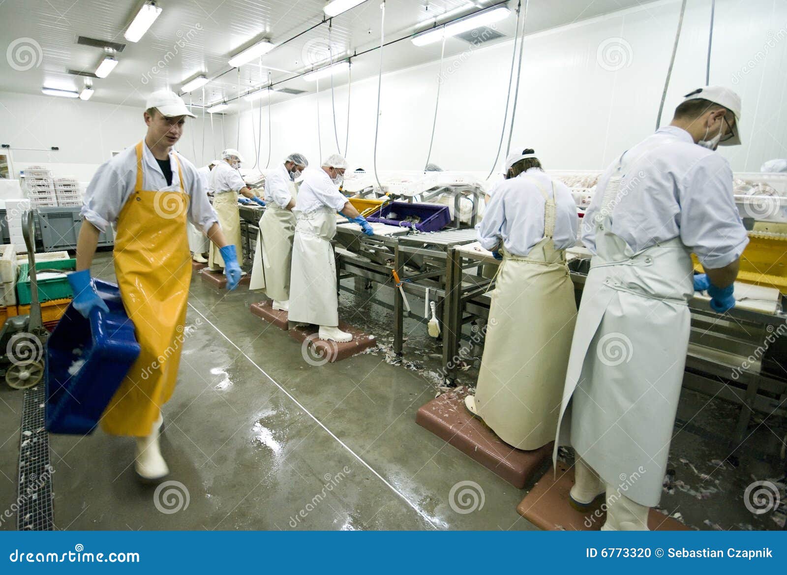 fish manufacture workers