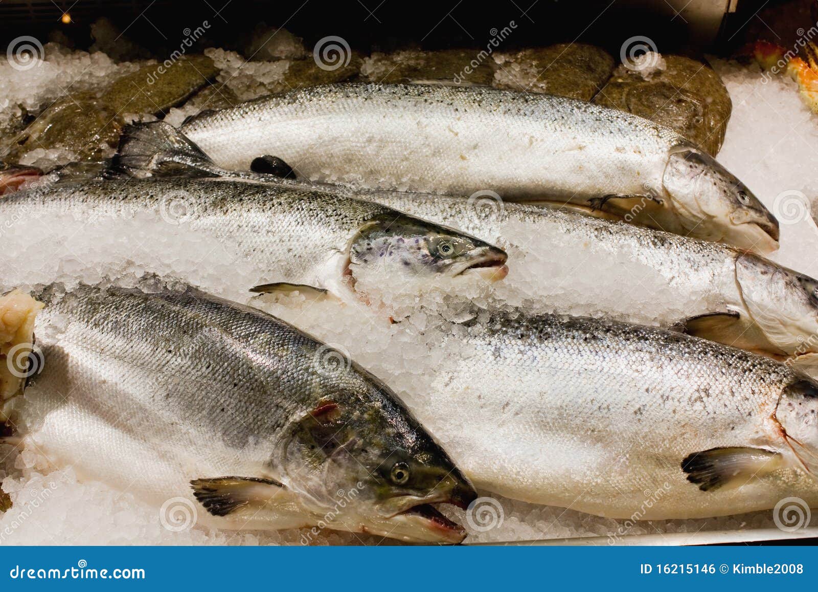 Fish market stock photo. Image of food, tasty, salmon 16215146