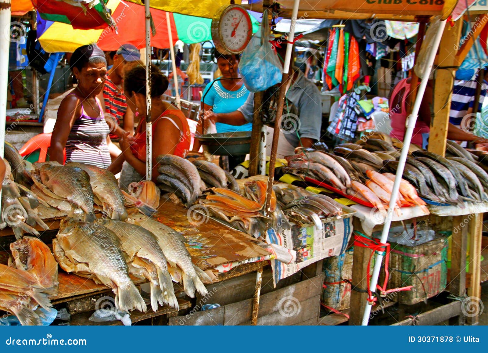 Fish Market - Cartagena Real Life. Editorial Stock Photo - Image of  cartagena, fresh: 30371878