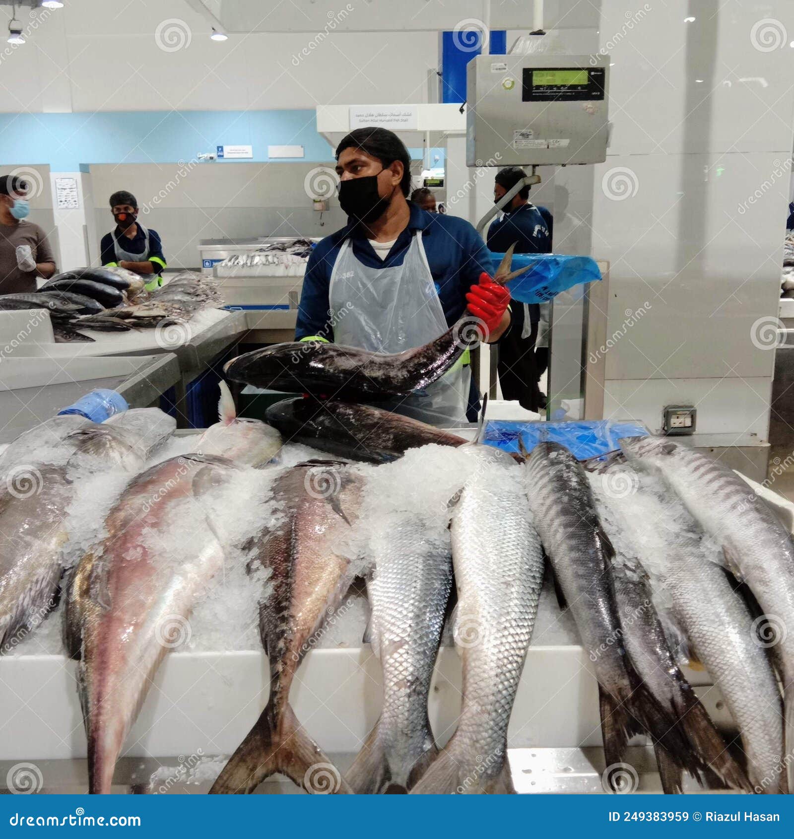Fish market in dubai UAE editorial stock image. Image of fish 249383959