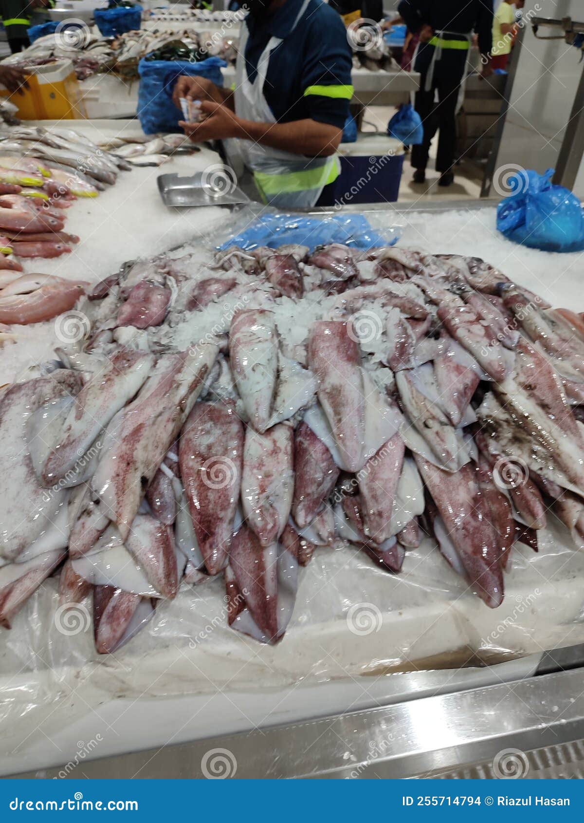 Fish and Seafood Market in Dubai UAE Editorial Stock Image Image of