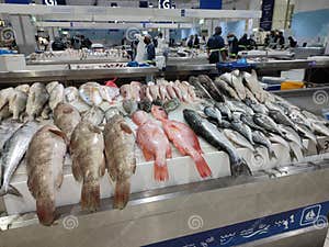 Fish And Seafood Market In Dubai UAE Editorial Stock Photo Image Of 