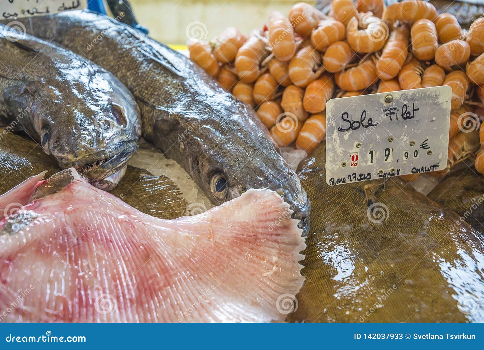 Fish market in France. stock image. Image of marine