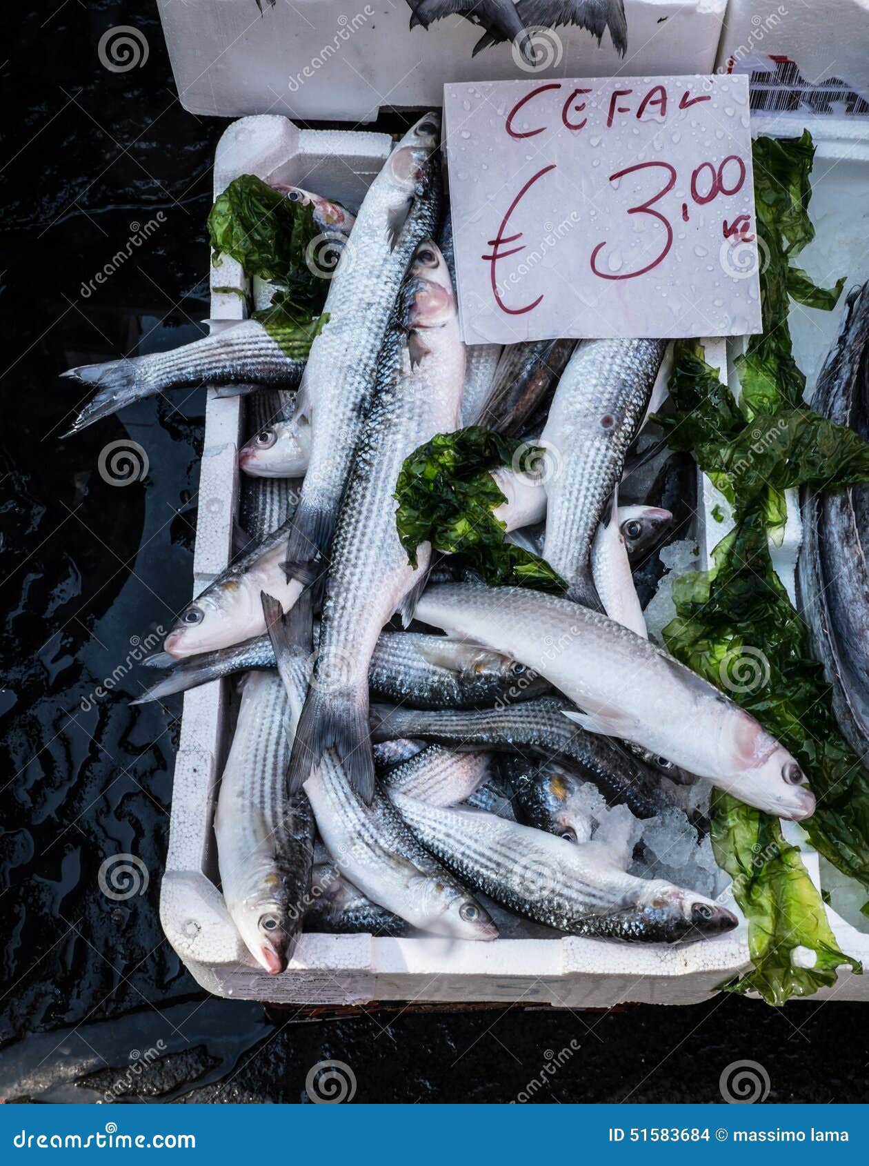 Fish market in Naples stock photo. Image of cuisine, omega 51583684
