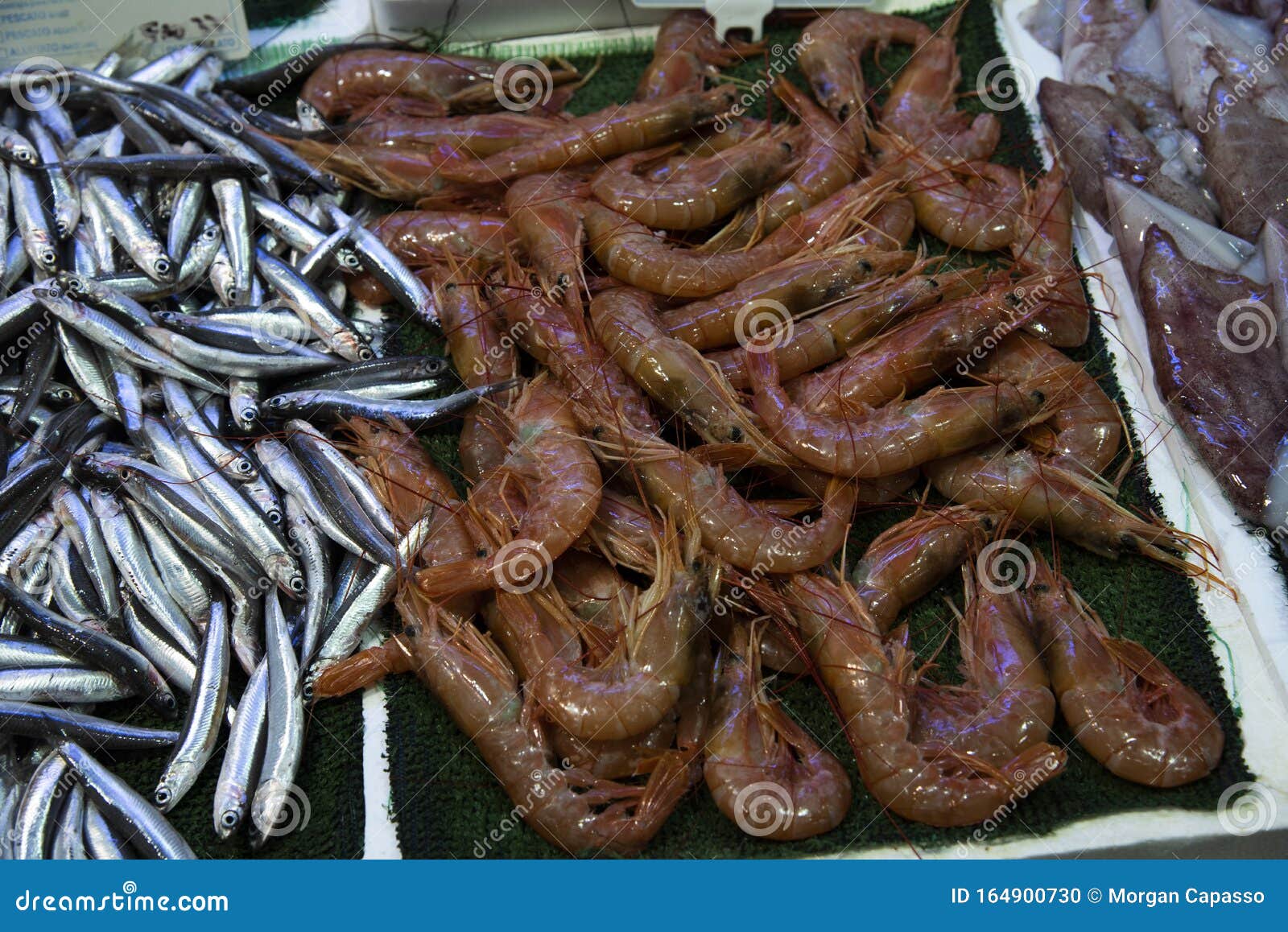 Daily Fish Market In Rome Stock Photo Image Of Background