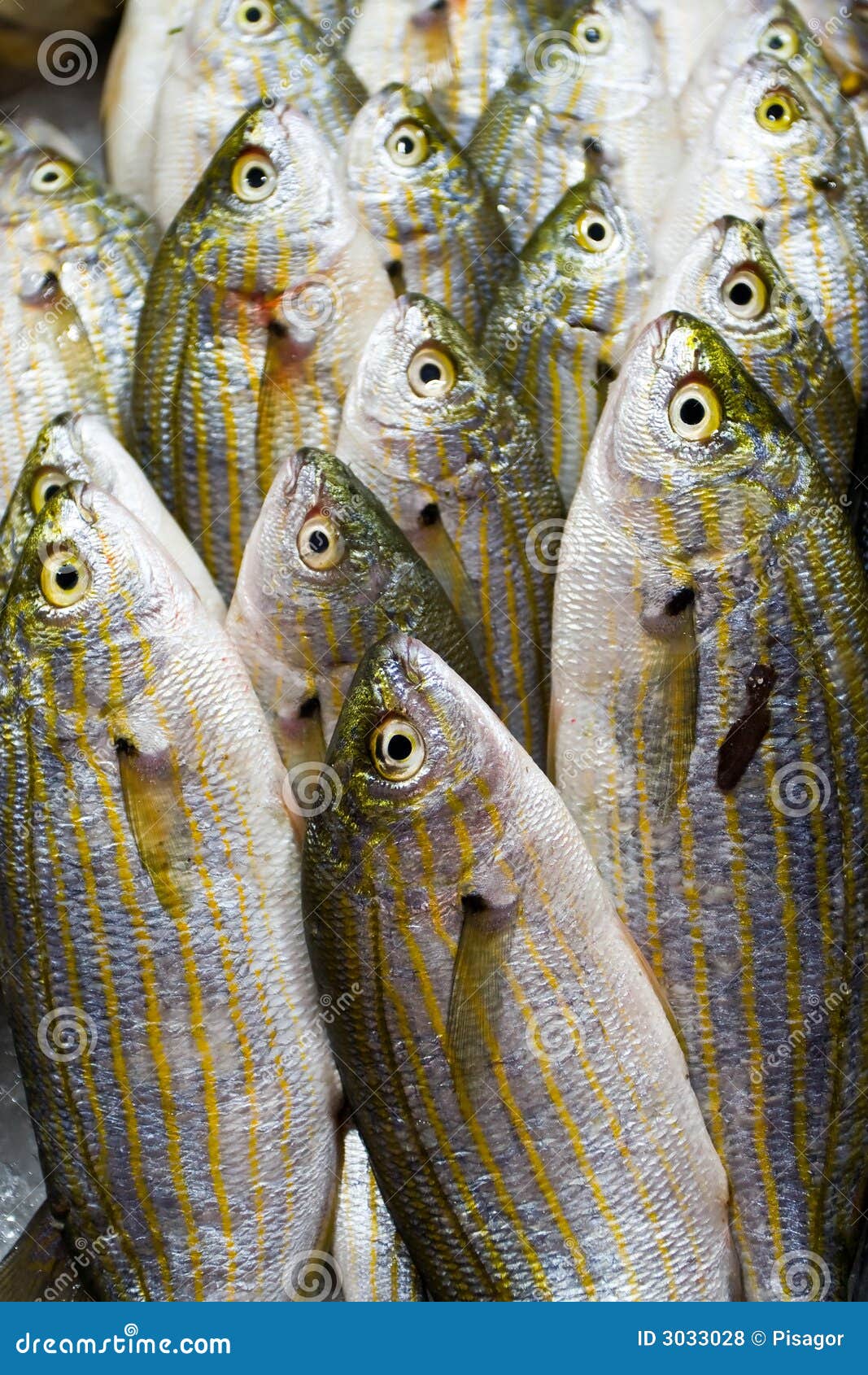 Fish at market for sale stock photo. Image of gourmet 3033028