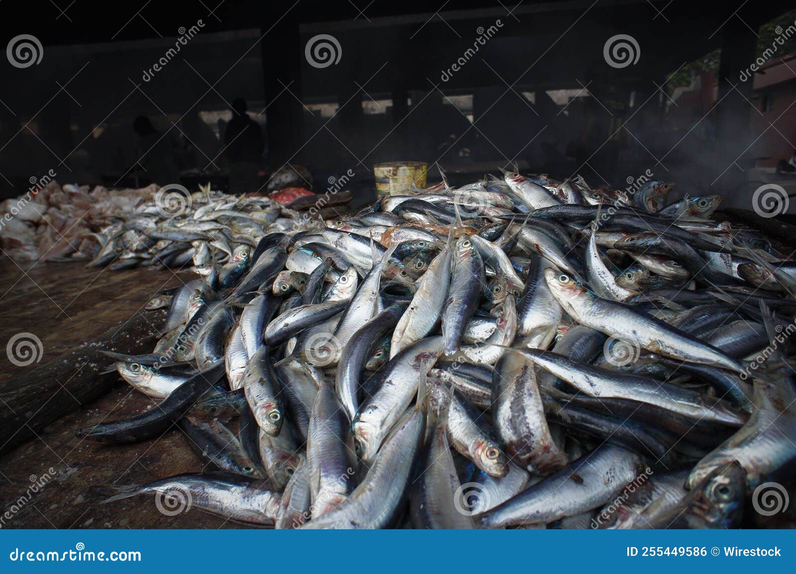 Fish in the Market for Sale Stock Photo Image of sale, product 255449586