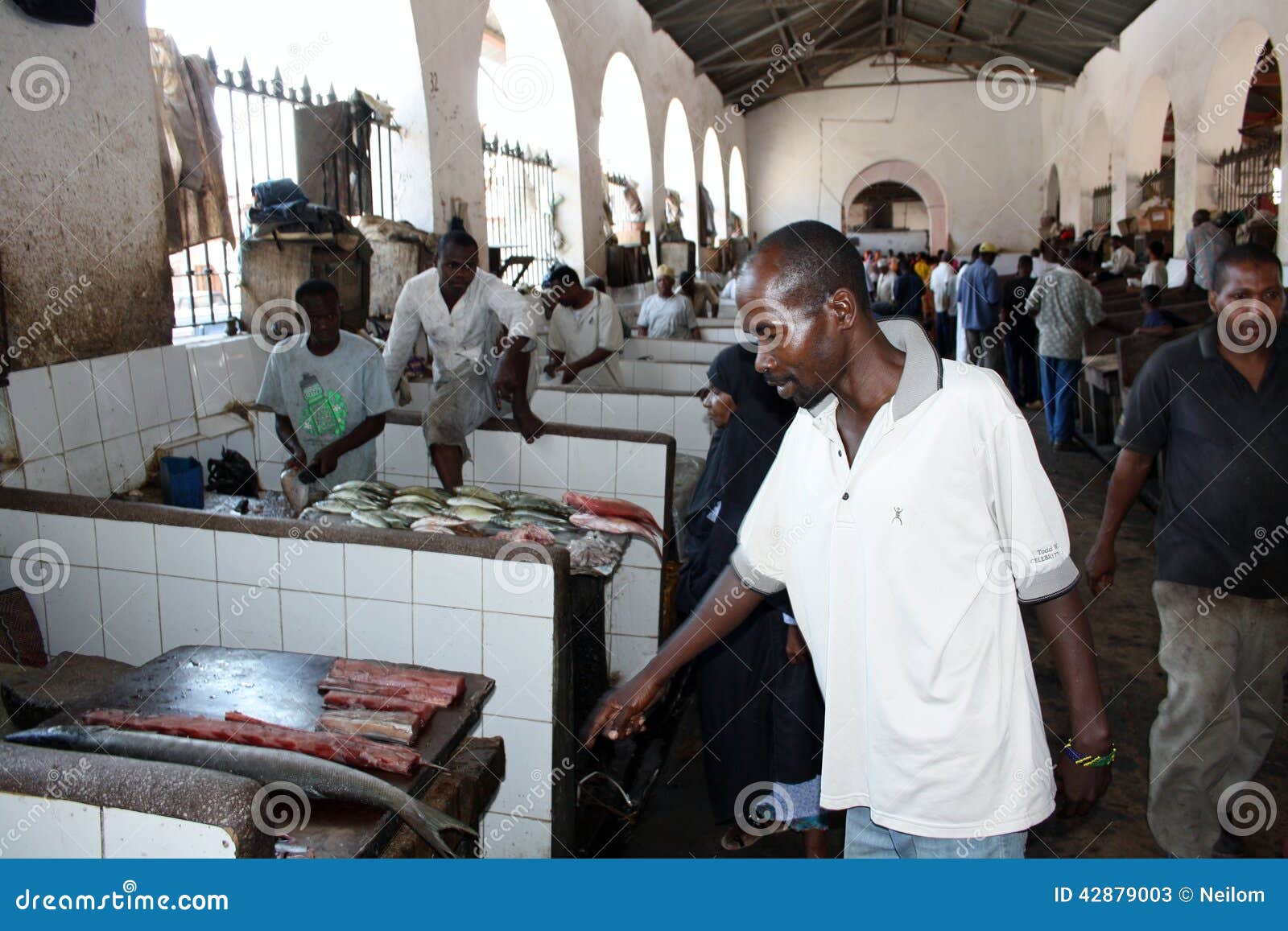 Fish market. Zanzibar editorial stock photo. Image of zanzibar 42879003