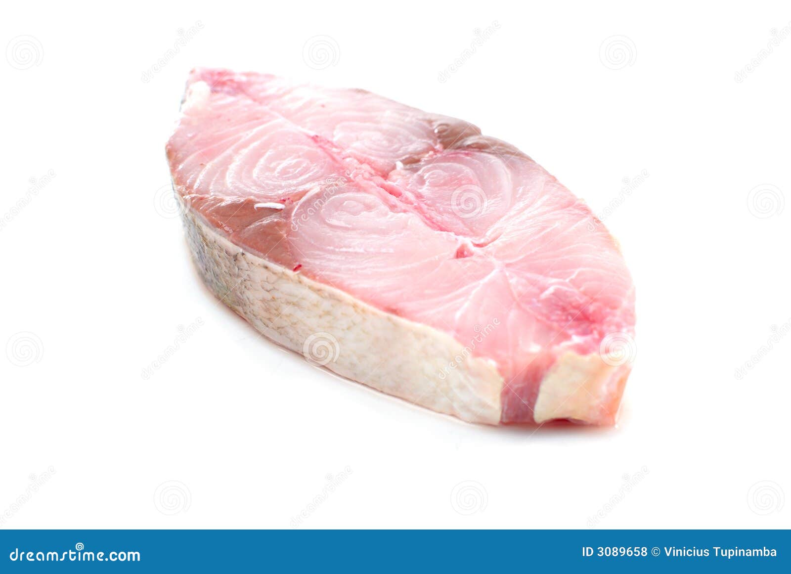 Fish Meat stock photo. Image of plate, fish, fresh, ingredient 3089658